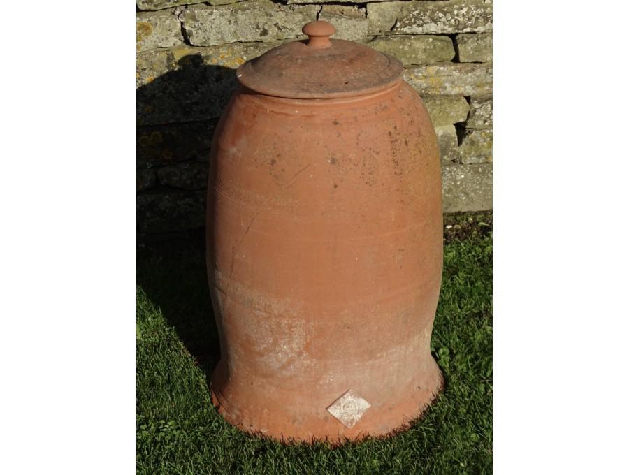 Weathered Rhubarb Forcer