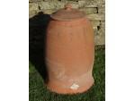 Weathered Rhubarb Forcer
