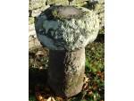 Antique Sandstone Staddlestone