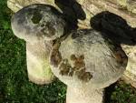 Antique Sandstone Staddlestones (Two)