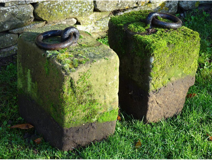 Antique Tethering Stones (Two)|