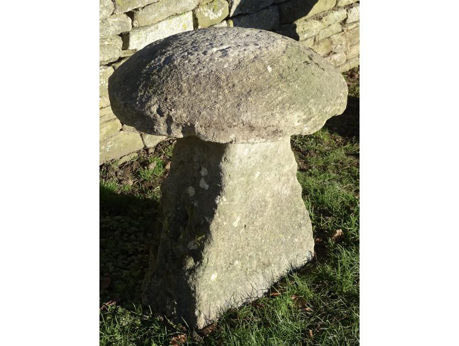 Antique Limestone Staddlestone
