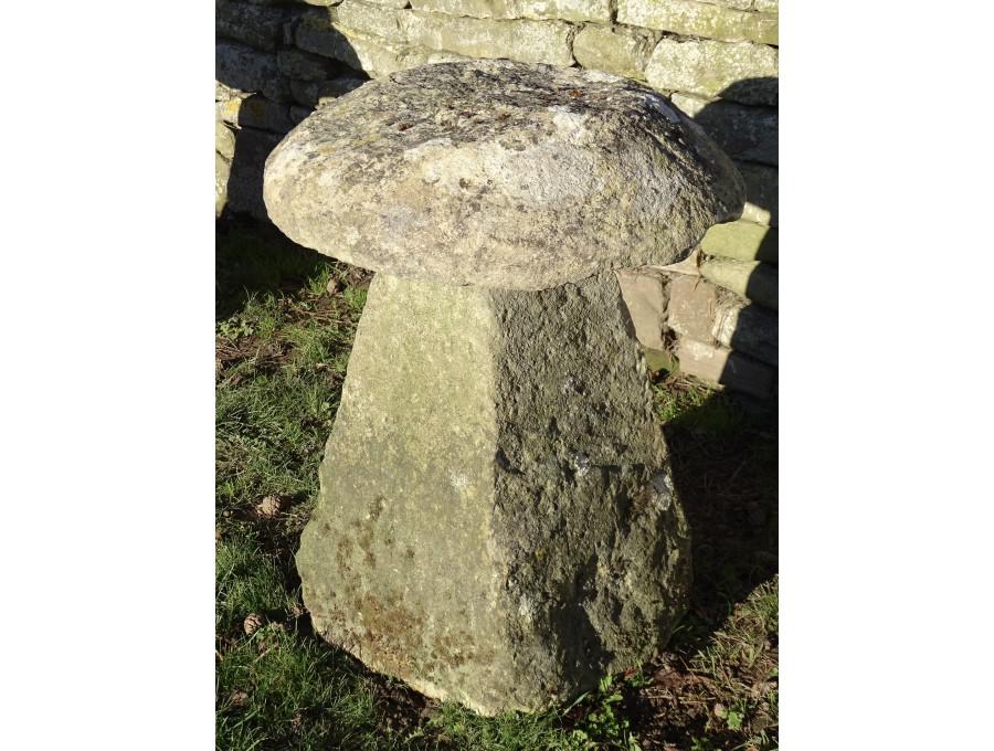 Antique Limestone Staddlestone