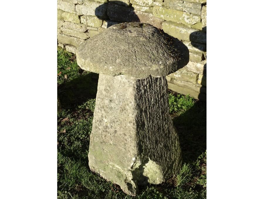 Antique Limestone Staddlestone