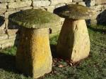 Ham Stone Staddlestones (Pair)