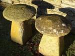 Ham Stone Staddlestones (Pair)