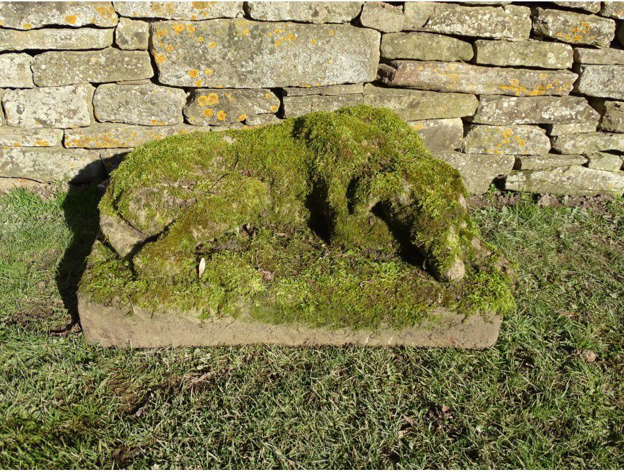 Weathered Statue, Sleeping Hound