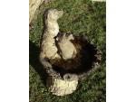 Weathered Otter Birdbath