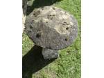 Antique Limestone Staddlestone