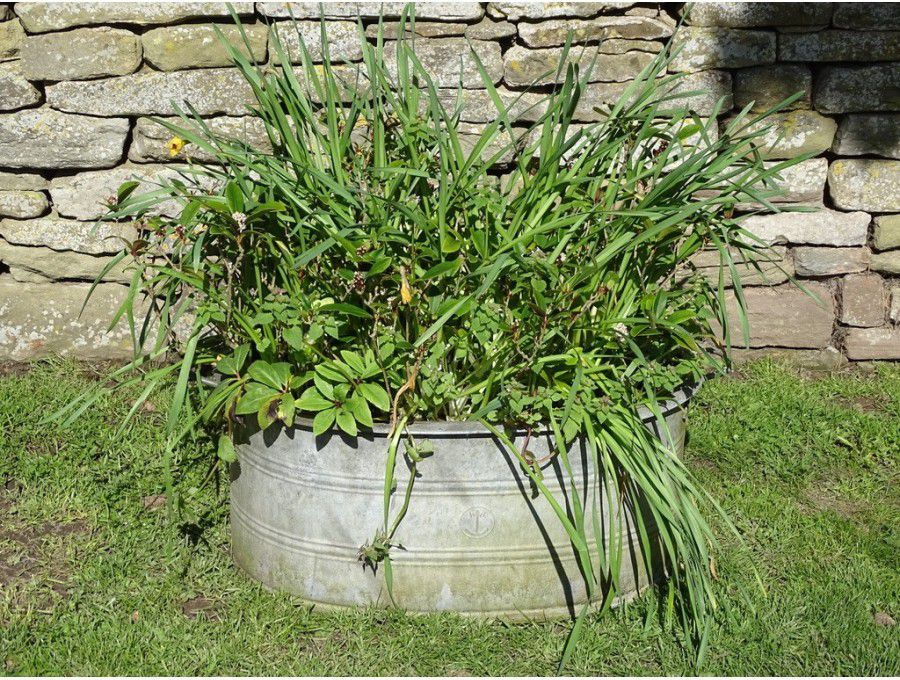 Vintage Galvanised Oval Planter
