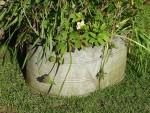 Vintage Galvanised Oval Planter