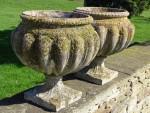 Weathered Garden Urns, Pair