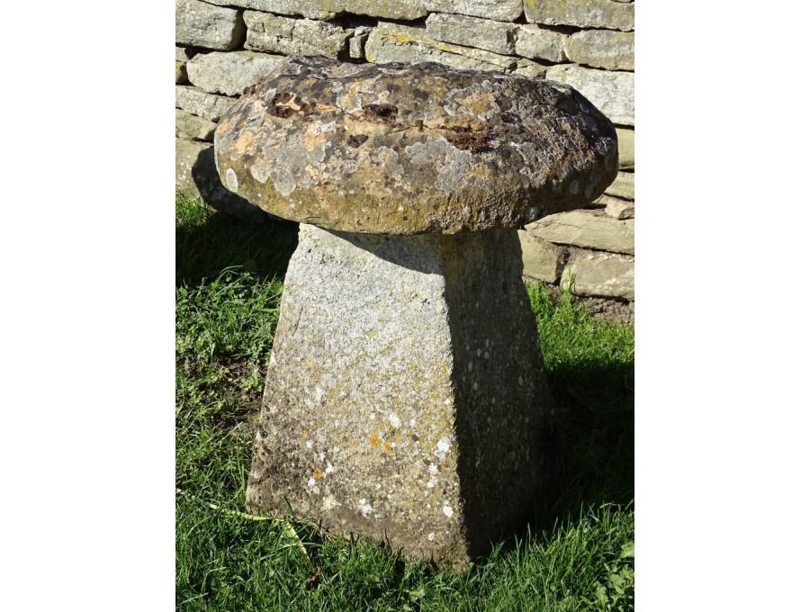 Antique Limestone Staddlestone
