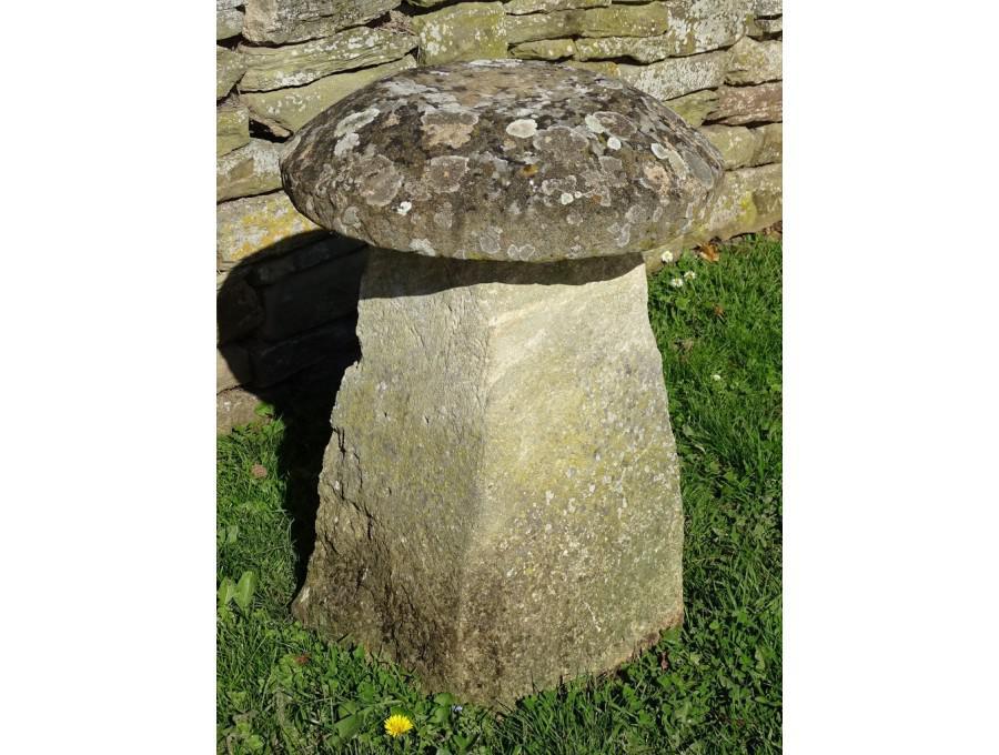 Antique Limestone Staddlestone|