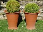 Tapered Whichford Terracotta Planters (Pair)