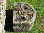 Antique Bowed Stone Trough