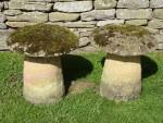 Weathered Staddlestones (Pair)