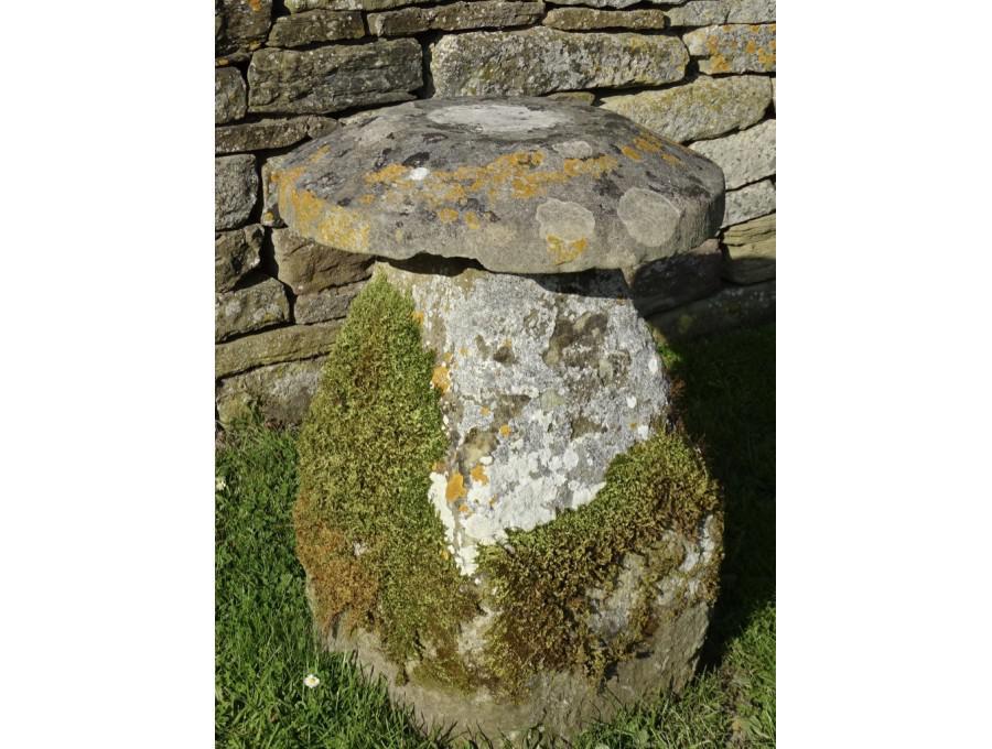 Antique Limestone Staddlestone
