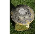 Antique Limestone Staddlestone