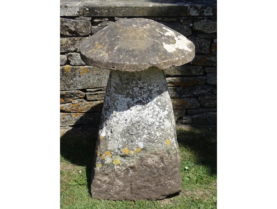 Antique Limestone Staddlestone
