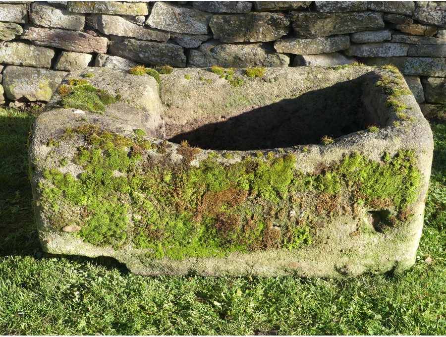 Antique Rectangular Stone Trough