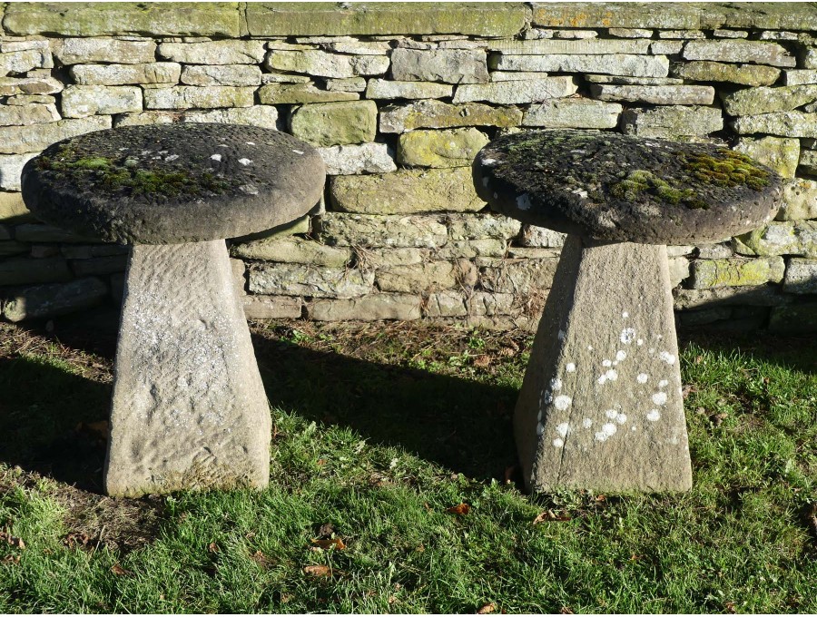 Weathered Composition Stone Staddlestones
