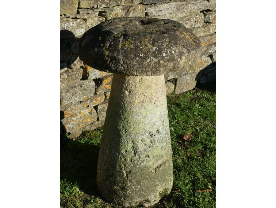 Antique Limestone Staddlestone