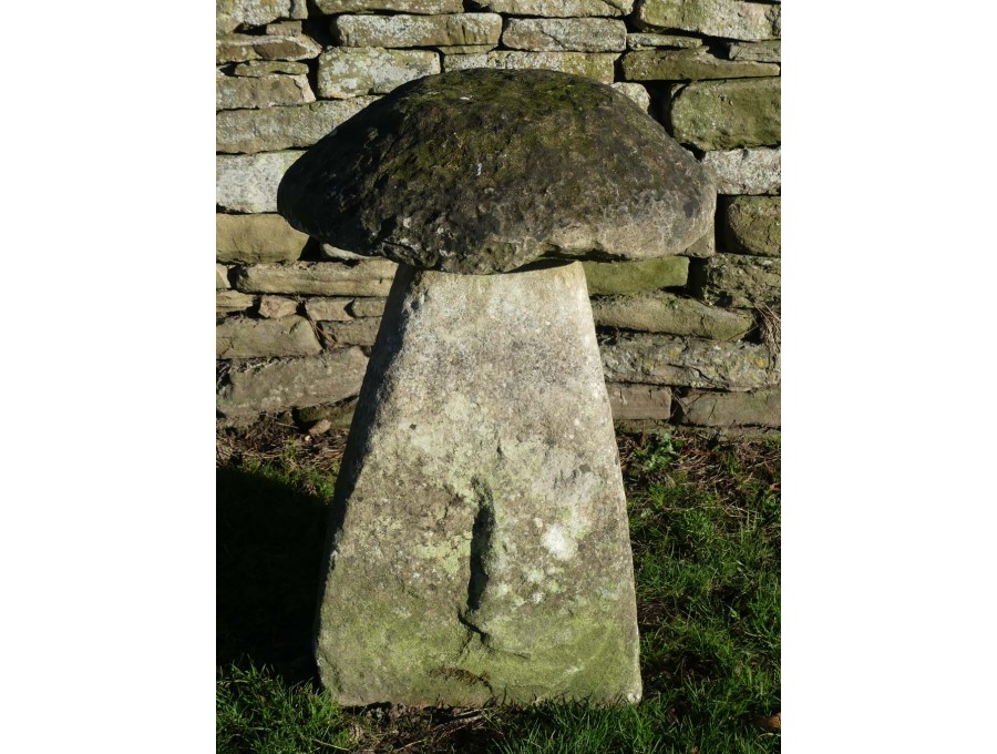 Antique Limestone Staddlestone