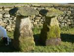 Antique Staddle Stones (Individual)