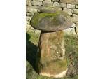 Old Stone Mushroom