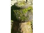 Old Stone Mushroom