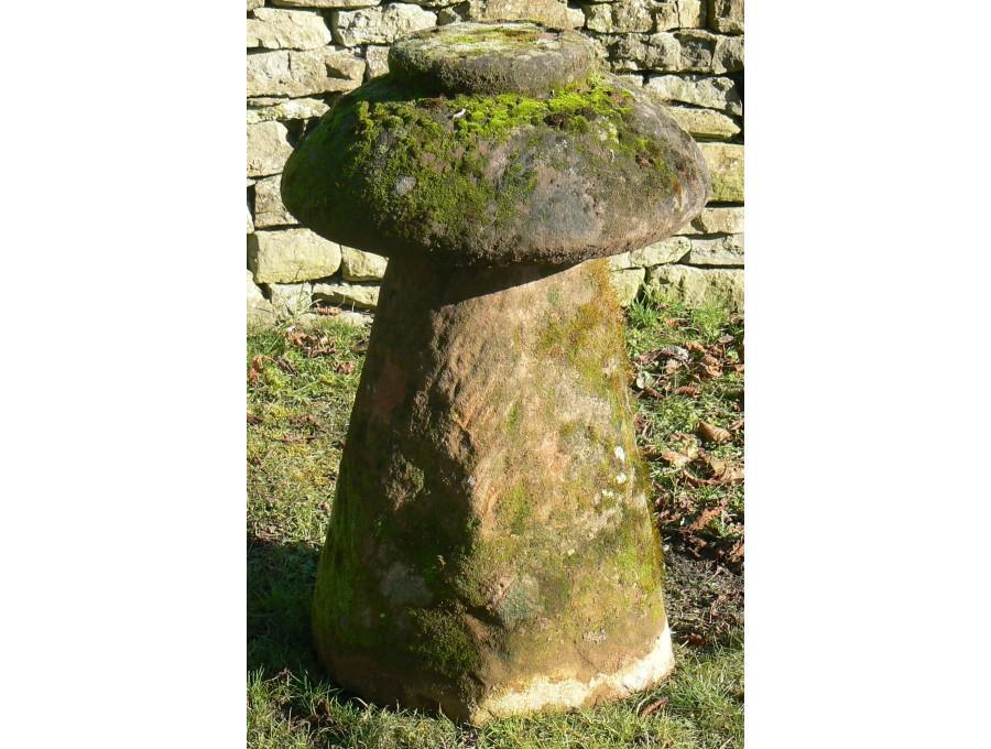 Old Stone Mushroom