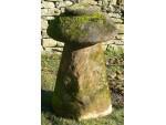 Old Stone Mushroom