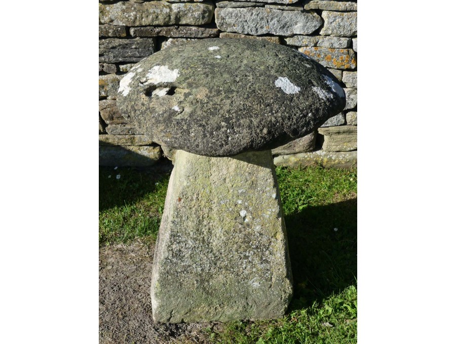 Antique Limestone Staddlestone