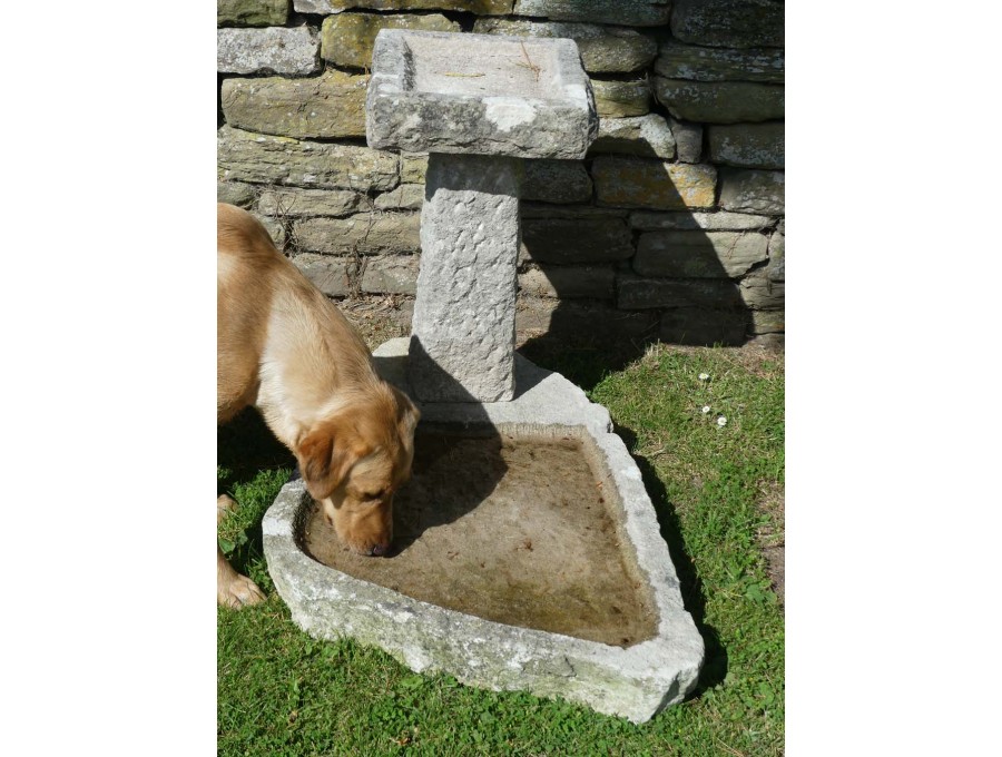 Carved Limestone Birdbath