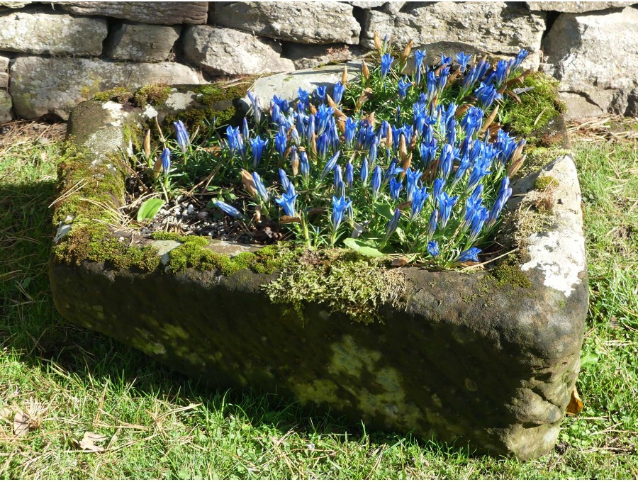 Oblong Sandstone Trough
