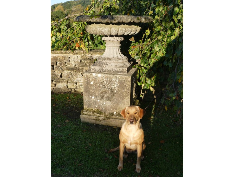 Large Antique Garden Urn