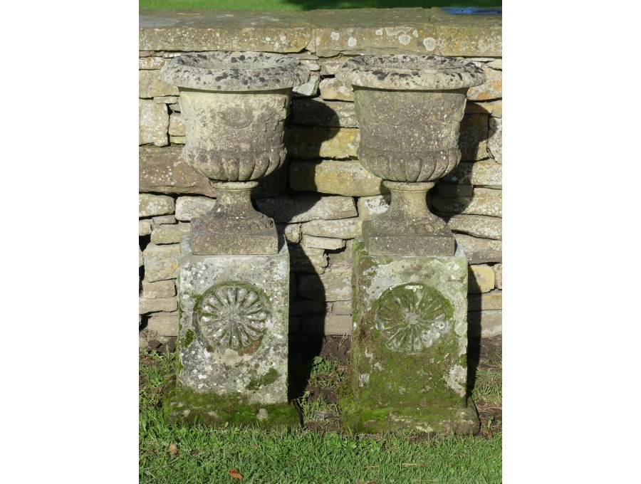 Garden Urns on Plinths (Pair)