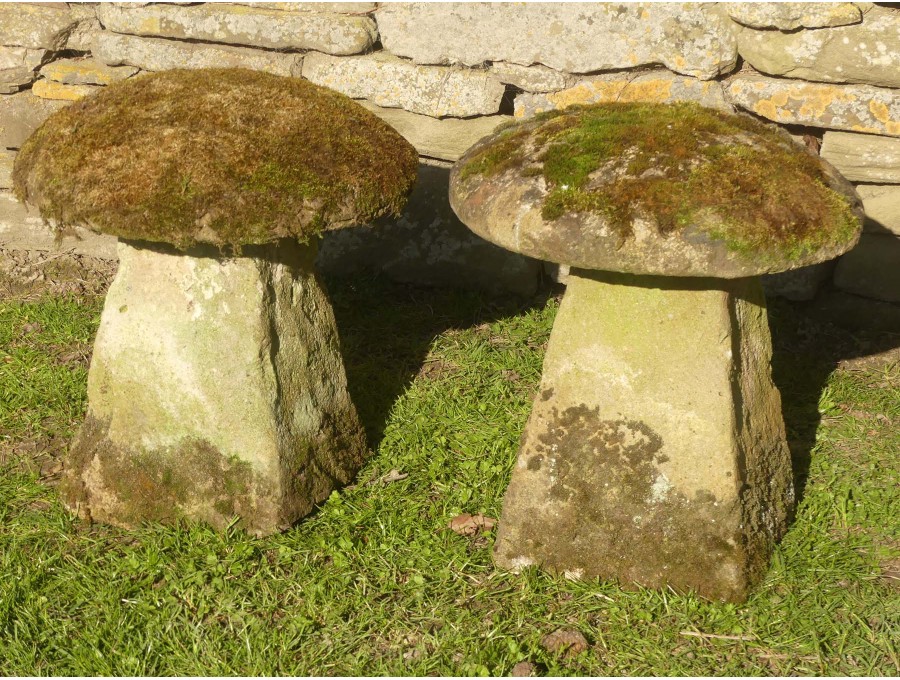 Weathered Staddlestones (Pair)