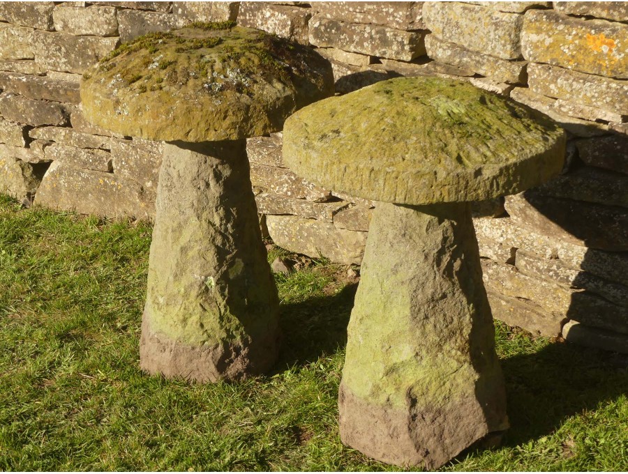 Old Staddlestones (Pair)