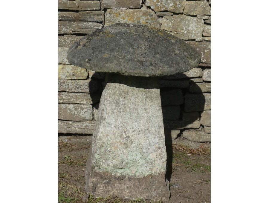 Antique Limestone Staddlestone