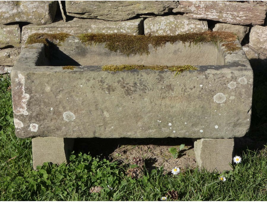 Antique Rectangular Stone Trough