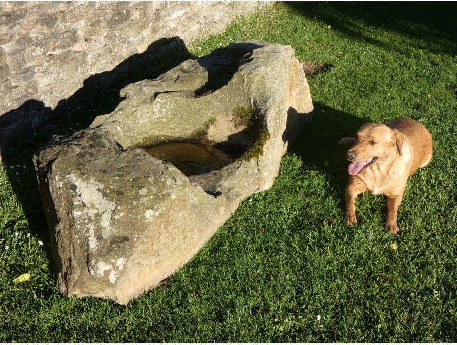 Large Rockery Stone and Pool