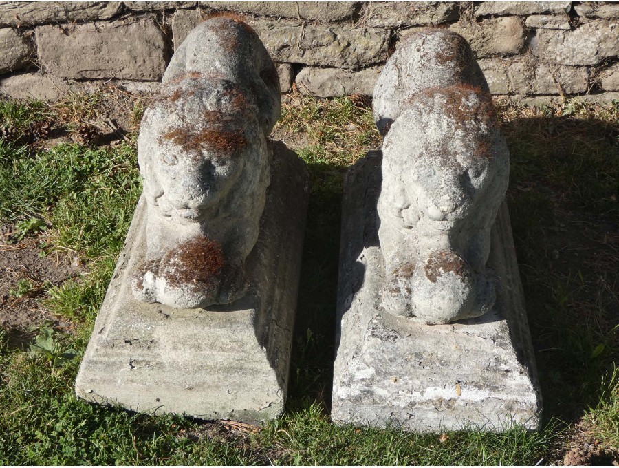 Stone Garden Lions (Pair)